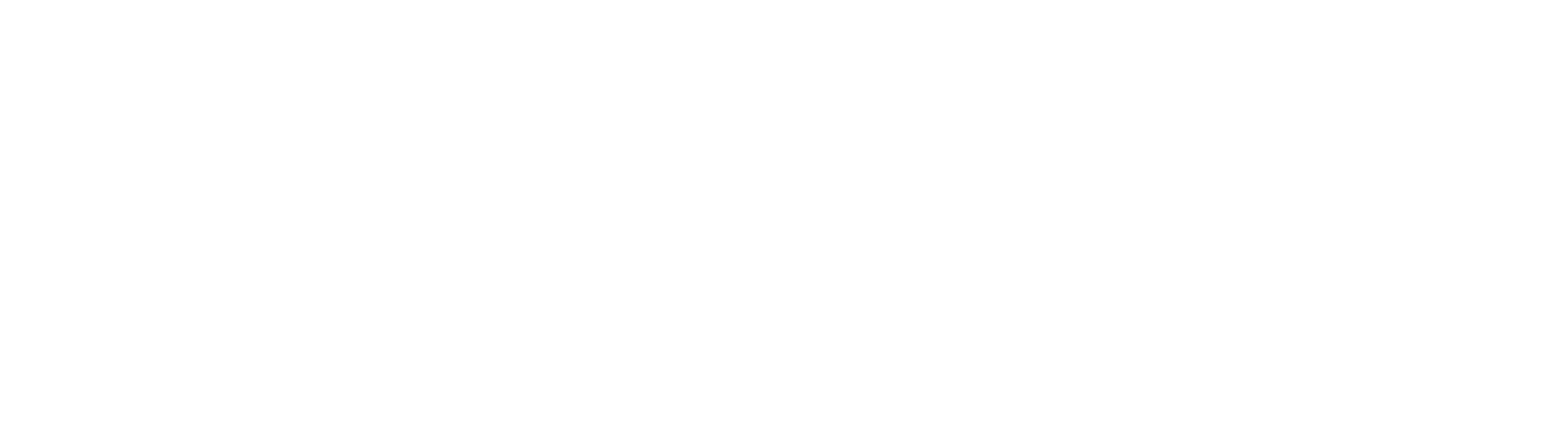 Nepal News Logo